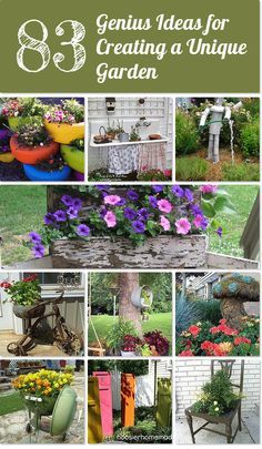 the cover of an outdoor garden book with pictures of various plants and flowers in pots