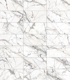 white marble tiles with grey veining