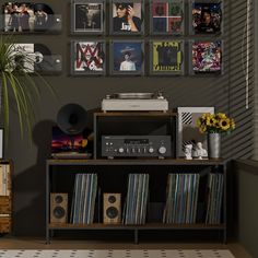 there is a record player on the shelf in front of some pictures and a plant