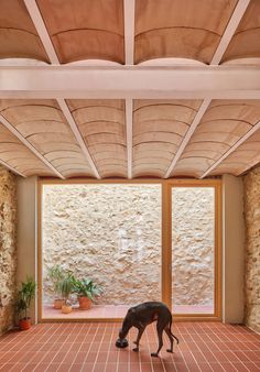 Sandra And Mario’s House - Picture gallery 8 Mediterranean House, Mediterranean Homes, Architectural Digest, Contemporary Architecture, Mario, Spain