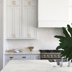 a white kitchen with marble counter tops and gold knobs on the cabinets, along with a large potted plant