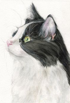 a drawing of a black and white cat with green eyes looking off to the side