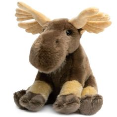 a stuffed moose is sitting down with its wings spread out and eyes wide open, on a white background