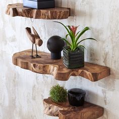 Floating Live Edge Shelves Live Edge Shelves, Natural Teak Wood, Wood Floating Shelves, Diy Holz, Estantes Flotantes, Live Edge Wood, Decor Minimalist, Wooden Shelves, Wood Shelves