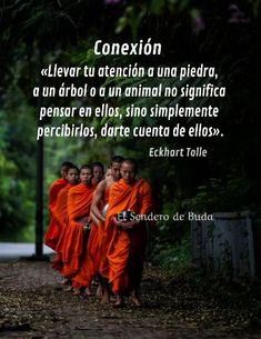 three monks in orange robes walking down a path with the caption'conexion '