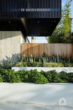 an outdoor area with plants and trees in front of a modern house on the street