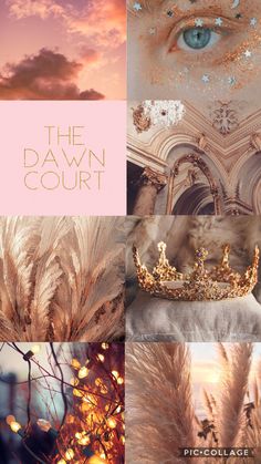 the dawn court collage with gold and white feathers in front of a pink sky