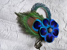 a peacock feather and flower on a white background