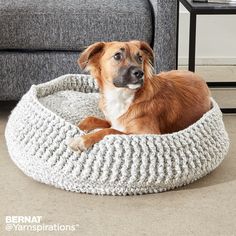 a brown dog laying in a gray crochet bed on the floor next to a couch