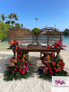 two wicker chairs sitting on top of a sandy beach next to flowers and greenery