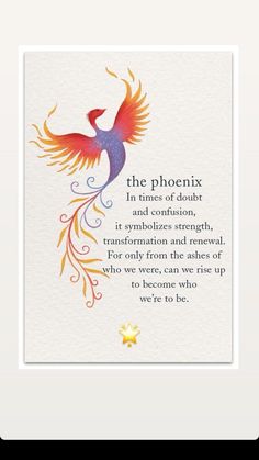 a colorful bird with the words, the phoenix in times of doubt and confusion, it symbolizes strength, transform and renewal for only from the ashes of who we can rise up to become