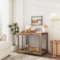 a dog in a cage sitting on top of a table next to a lamp and suitcase