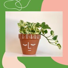 a potted plant with eyes drawn on it's face next to a pink and green background