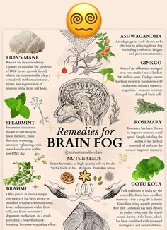 Remedies for Brain Fog Poster US000215032 High quality resin-coated photo base paper. Satin photo finish, maximum color gamut, dmax, and image resolution Herb Benefits, Herbal Education, Alkaline Vegan, Medical Herbs, Magia Das Ervas, Healing Remedies, Magic Herbs, Journal Stuff, Adaptogenic Herbs