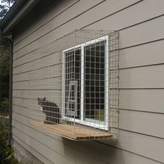 a dog is looking out the window of a house