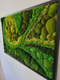 a moss covered wall hanging on the side of a white wall