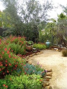 a garden filled with lots of plants and flowers