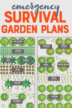 a garden plan with the words emergency survival garden plans in red and green on it