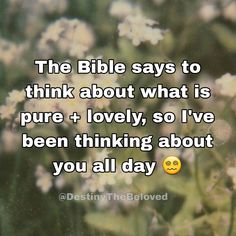 the bible says to think about what is pure + lovely, so i've been thinking about you all day