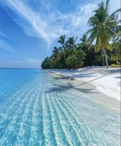 an island with palm trees and blue water