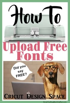 a dog wearing glasses is looking at a laptop screen with the words, how to upload free fonts did you say?