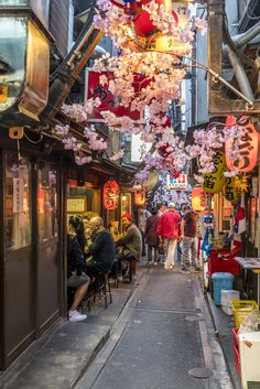 people sitting at tables in an alleyway with cherry blossom hanging from the ceiling above them