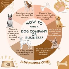 how to name a dog company or business? infographical poster with dogs and their names