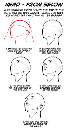 how to draw the head from below with different angles and hair types on each side