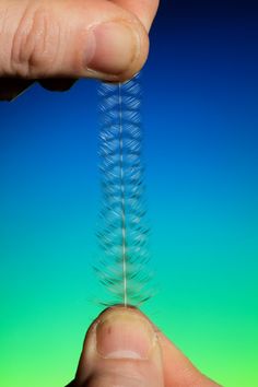 a person is holding their finger up to the tip of a long thin toothbrush