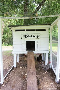 the chickens are in their coop under the shade of the tree and on the ground there is a sign that says the caties