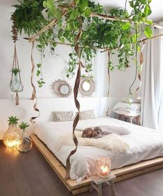 a bed with plants hanging from it's sides and lights on the floor next to it