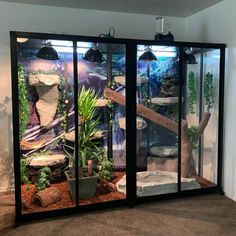 an aquarium with plants and rocks in it