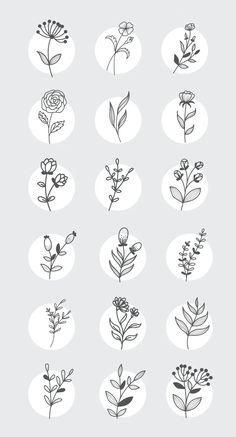 the different types of flowers are shown in black and white on a light gray background