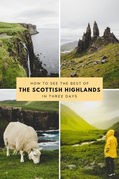 the scottish highlands with sheep grazing and people in yellow raincoats looking at them