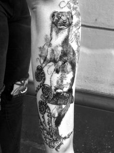 a black and white photo of a ferret on the leg with chains around it