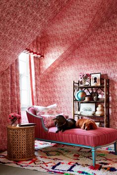 two dogs laying on a pink couch in a room with red walls and patterned carpet