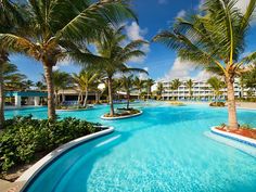 an outdoor swimming pool surrounded by palm trees