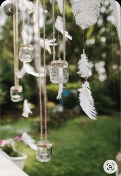 a group of glass jars filled with feathers hanging from strings