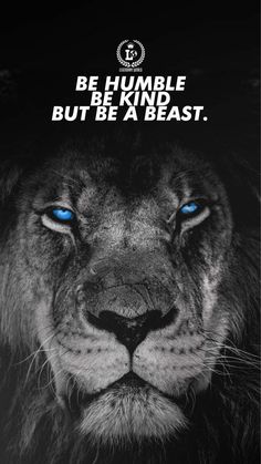 a lion with blue eyes and the words be humble be kind but be a beast