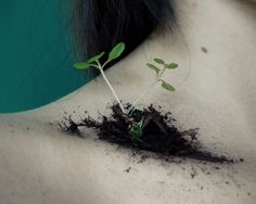 a young plant sprouts out of the soil on top of a woman's back