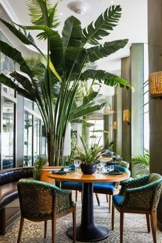 a dining room table with chairs and plants