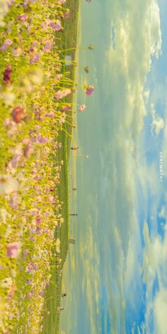 the sky is reflected in the water and flowers are blooming on the shore line