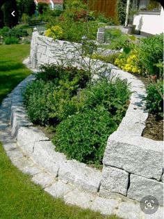 a garden area with various plants and rocks on the side of the building, including flowers