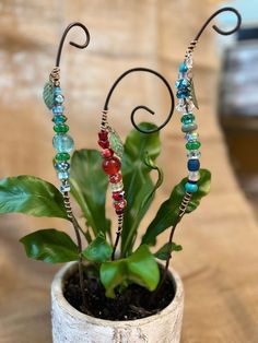 a potted plant with beads and leaves in it