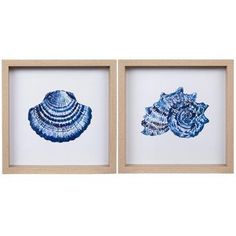 two framed seashells in blue and white