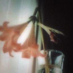 a glass vase with flowers in it on a table