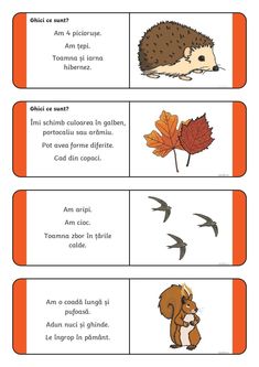 an orange and white poster with words describing the different types of animals in each language