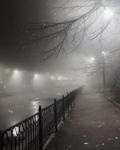 foggy night with street lights and benches along the water's edge on a dark, overcast day