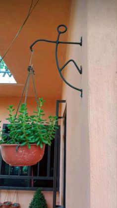 a potted plant hanging from the side of a building