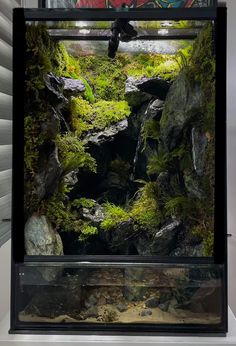 an aquarium with moss growing on the rocks and water in it's bottom half